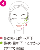 あご先・口角→耳下／鼻横・目の下→こめかみ（すべて直線）