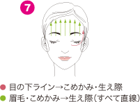 目の下ライン→こめかみ・生え際／眉毛・こめかみ→生え際（すべて直線）