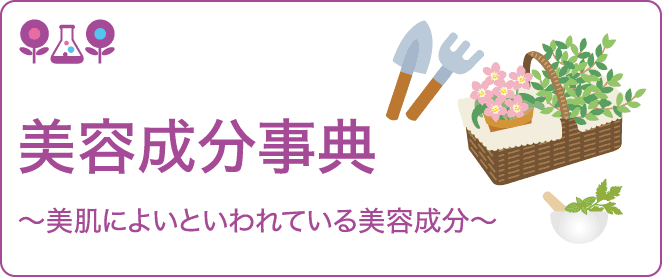美容成分事典〜美肌によいといわれている美容成分〜