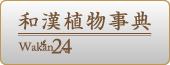 和漢植物事典