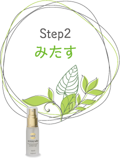 Step2 みたす