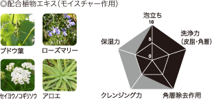 配合植物エキス(モイスチャー作用)