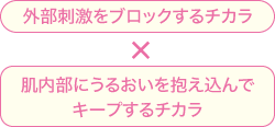 外部刺激をブロックするチカラ×肌内部にうるおいを抱え込んでキープするチカラ