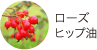 ローズヒップ油