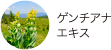 ゲンチアナエキス