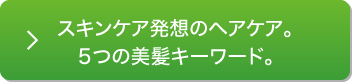 スキンケア発想のヘアケア。５つの美髪キーワード。