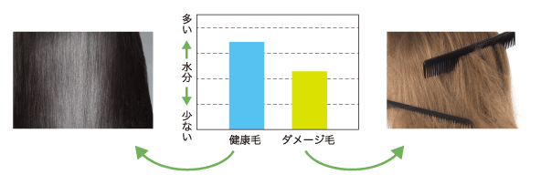 セプテム シャンプー1本&コンディショナー2本セット シャンプー