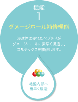 ダメージホール補修機能