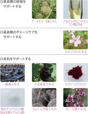 美肌によいと言われている美容成分(保湿成分)