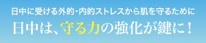 日中に受ける外的・内的ストレスから肌を守るために／日中は、守る力の強化が鍵に！