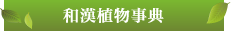 和漢植物事典