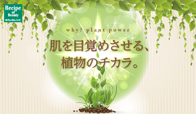 《why? plant power》肌を目覚めさせる、植物のチカラ。