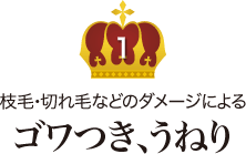 1.枝毛・切れ毛などのダメージによる《ゴワつき、うねり》