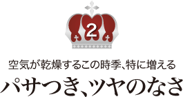 2.空気が乾燥するこの時季、特に増える《パサつき、ツヤのなさ》