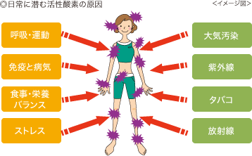 ◎日常に潜む活性酸素の原因