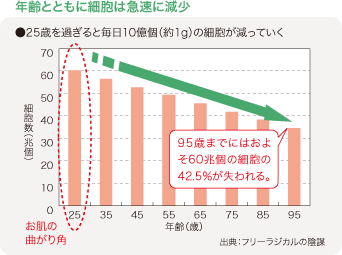 年齢とともに細胞は急速に減少