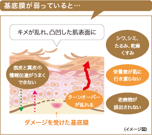 基底膜が弱っている場合