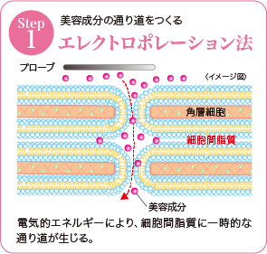 エレクトロポレーション法