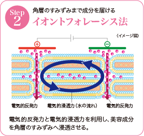 イオントフォレーシス法