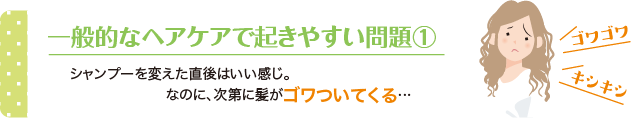 一般的なヘアケアで起きやすい問題①：シャンプーを変えた直後はいい感じ。なのに、次第に髪がゴワついてくる…