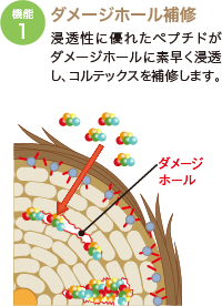 ダメージホール補修