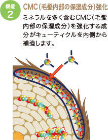 CMC（毛髪内部の保湿成分）強化