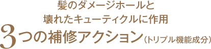 髪のダメージホールと壊れたキューティクルに作用。3つの補修アクション(トリプル機能成分)