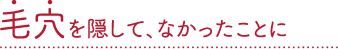 毛穴を隠して､なかったことに