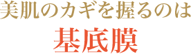 美肌のカギを握るのは基底膜