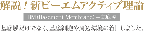 解説！新ビーエムアクティブ理論