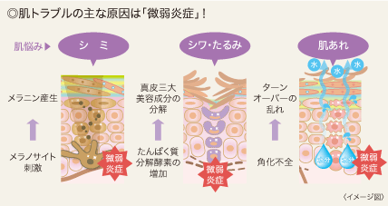 ◎肌トラブルの主な原因は「微弱炎症」！