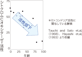 シトクロムCオキシターゼ*活性