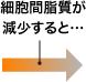 細胞間脂質が減少すると…