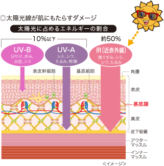 ◎太陽光線が肌にもたらすダメージ