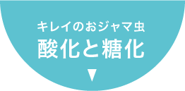 キレイのおジャマ虫 酸化と糖化