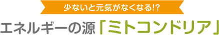 少ないと元気がなくなる!?エネルギーの源「ミトコンドリア」