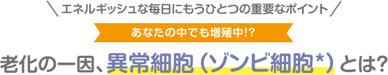 ＼エネルギッシュな毎日にもうひとつの重要なポイント／ あなたの中でも増殖中!? 老化の一因、異常細胞（ゾンビ細胞*）とは？