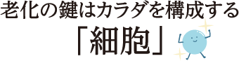 老化の鍵はカラダを構成する「細胞」