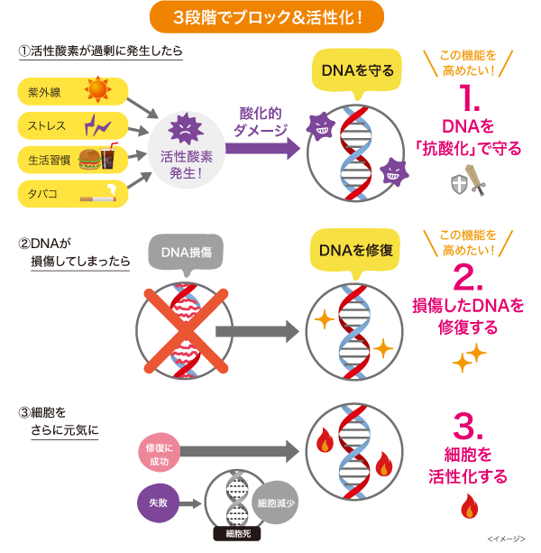 3段階でブロック＆活性化！