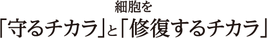 細胞を「守るチカラ」と「修復するチカラ」