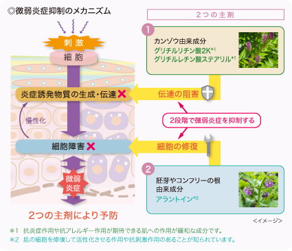 ◎微弱炎症抑制のメカニズム