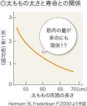 ◎太ももの太さと寿命との関係