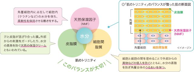 このバランスが大切！