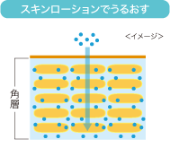 スキンローションでうるおす