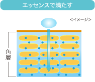 エッセンスで満たす