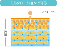 ミルクローションで守る