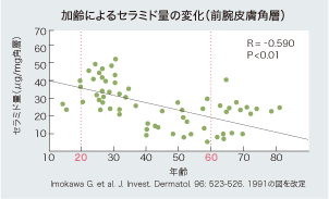 加齢によるセラミド量の変化（前腕皮膚角層）