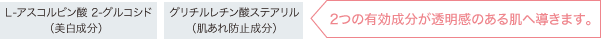 2つの有効成分が透明感のある肌へ導きます。