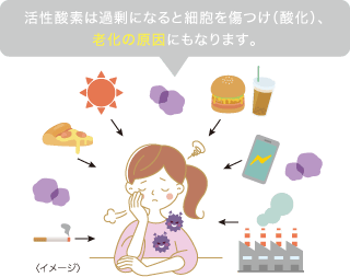 活性酸素は過剰になると細胞を傷つけ(酸化)、老化の原因にもなります。