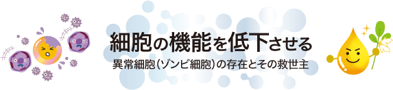 細胞の機能を低下させる異常細胞(ゾンビ細胞)の存在とその救世主